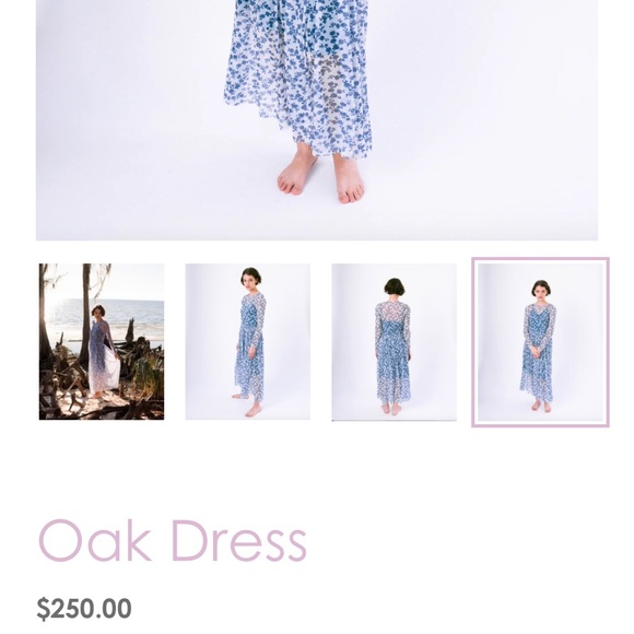 Blue Floral Mesh Dress - Picture 2 of 5